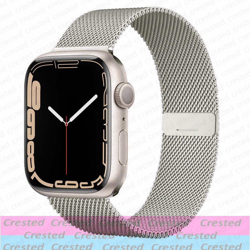 Magnetic Loop Strap For Apple  - đánh giá và giá Milanese Loop Magnetic