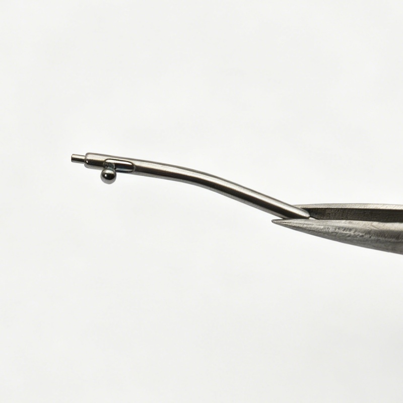 Watch Repair Parts Curved Quic - đánh giá và giá Curved Spring Bar